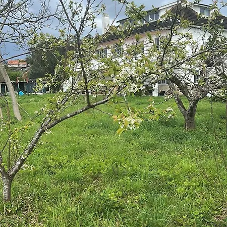 Casa Sanuk Venkovský dům *