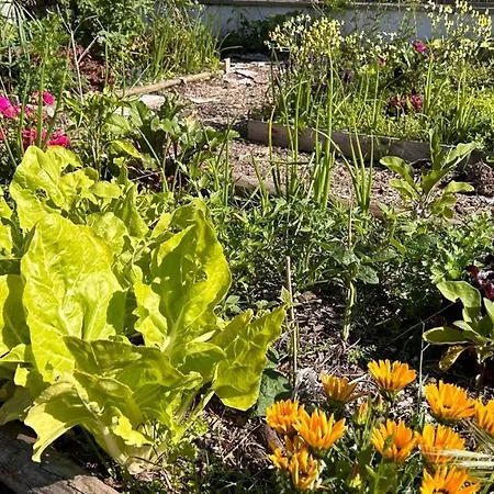 Casa Sanuk カントリーハウス ポイオ