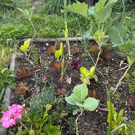 Casa Sanuk カントリーハウス ポイオ