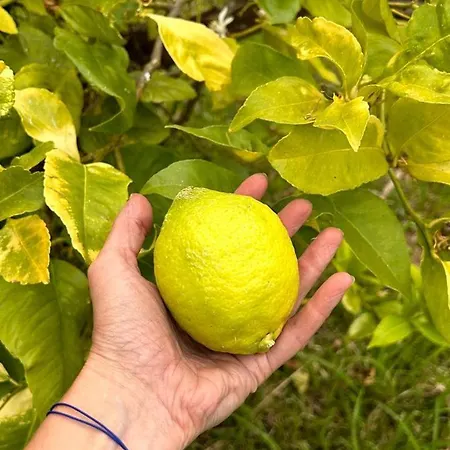Hétvégi ház Casa Sanuk Poio
