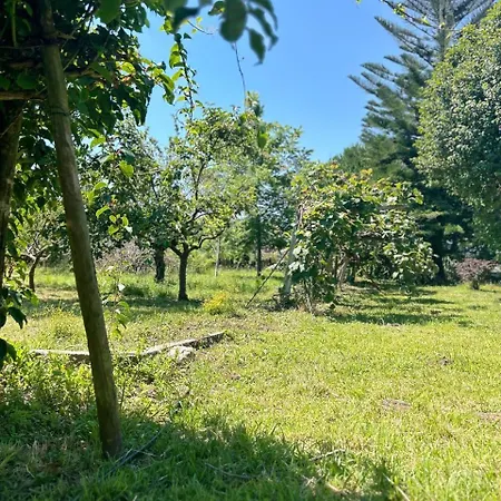 Casa Sanuk *