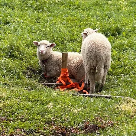 カントリーハウス Casa Sanuk *