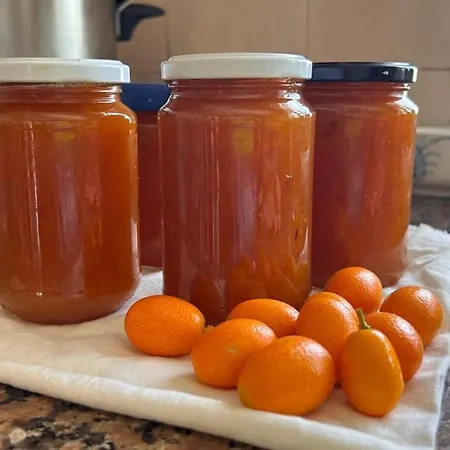 Casa Sanuk Hétvégi ház *