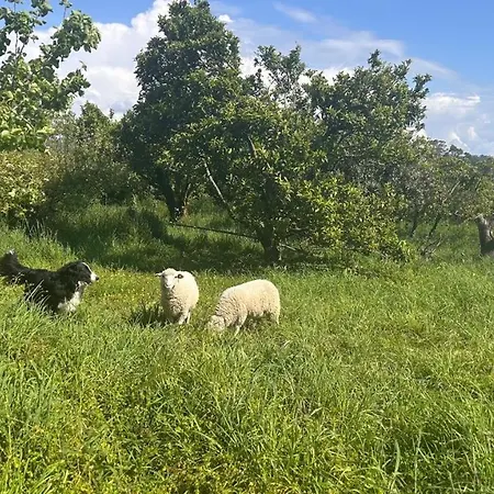 Casa Sanuk Hétvégi ház Poio