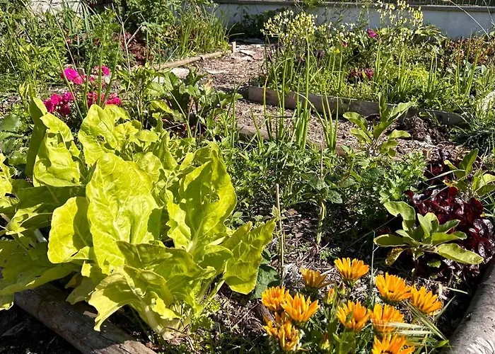 Casa Sanuk Εξοχικό σπίτι Poio