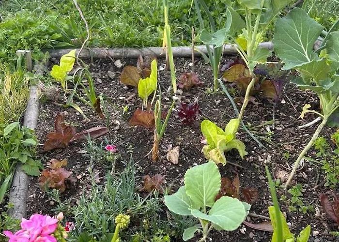 Casa Sanuk Εξοχικό σπίτι Poio