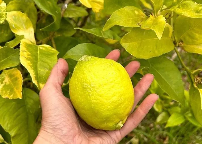Εξοχικό σπίτι Casa Sanuk Poio