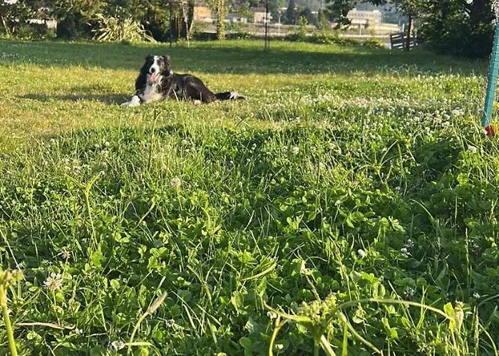 Εξοχικό σπίτι Casa Sanuk Poio