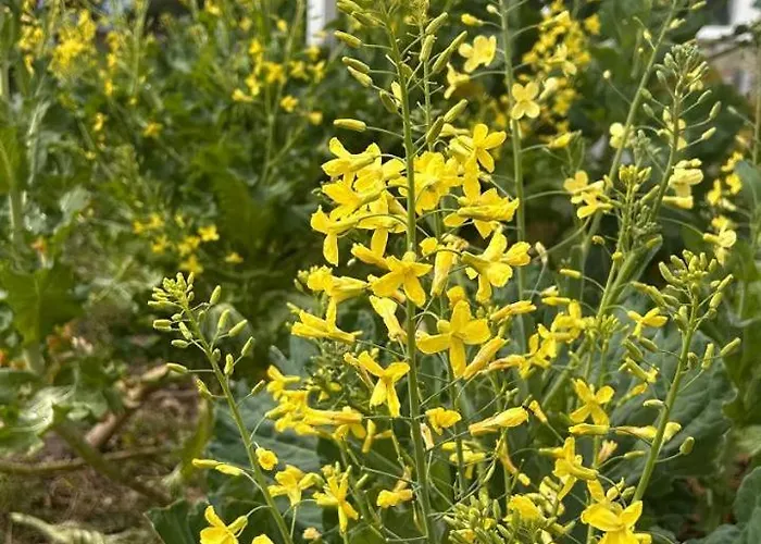 Εξοχικό σπίτι Casa Sanuk