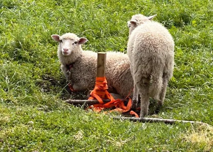 Εξοχικό σπίτι Casa Sanuk *