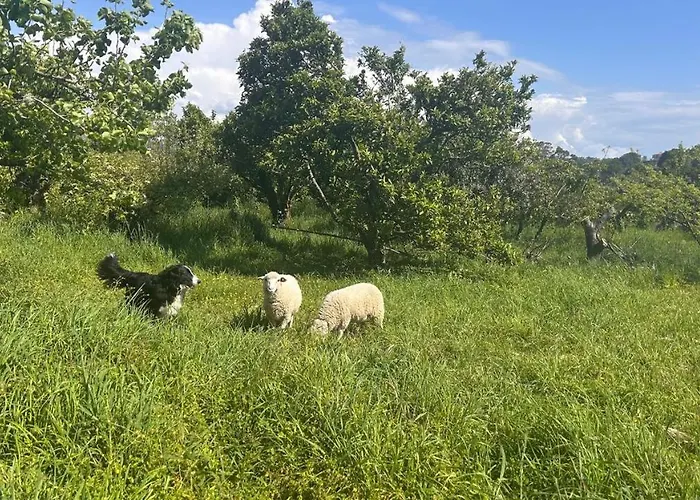 Casa Sanuk Εξοχικό σπίτι Poio